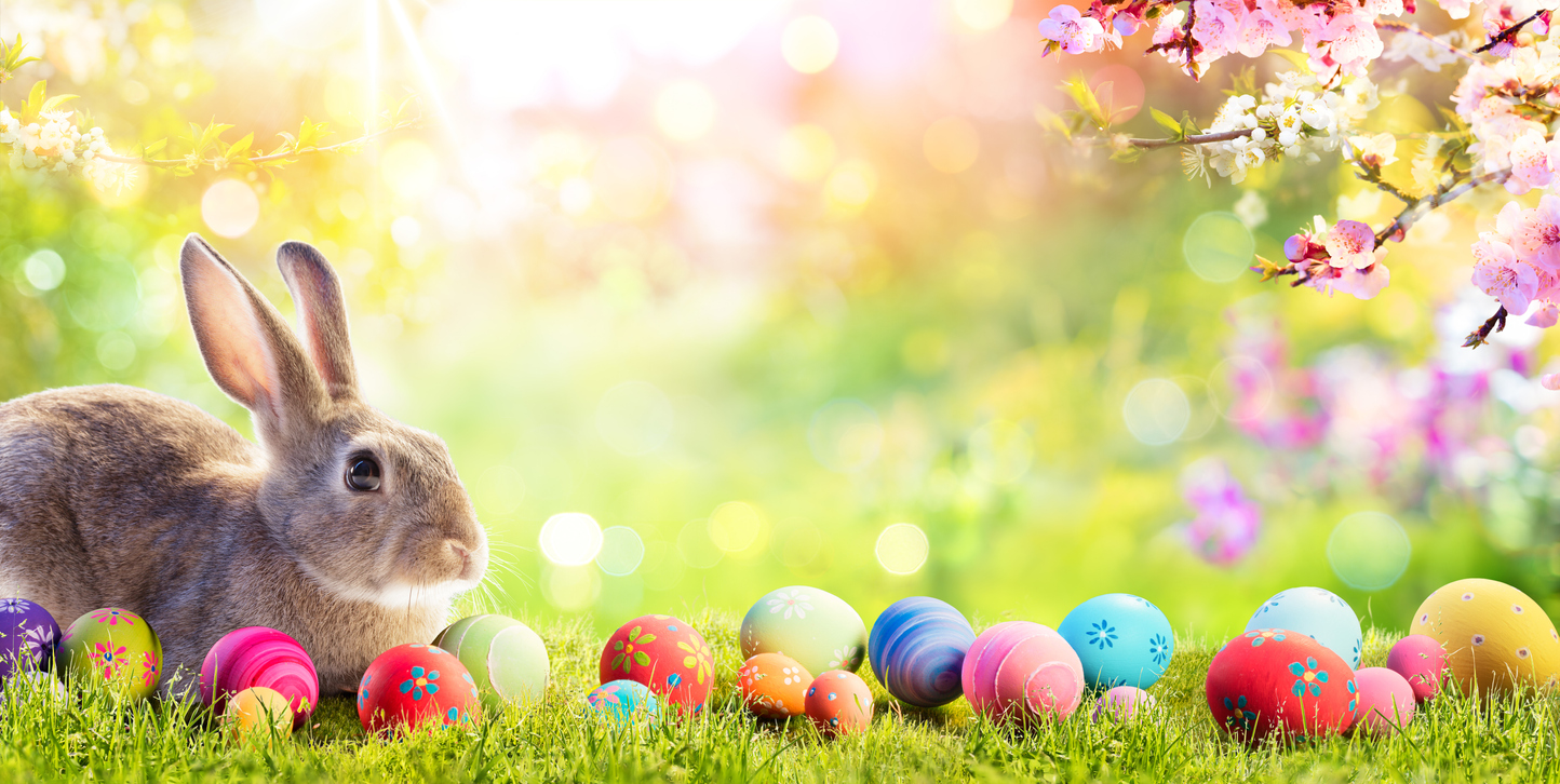 easter-holiday-closures-2022-wheatland-county